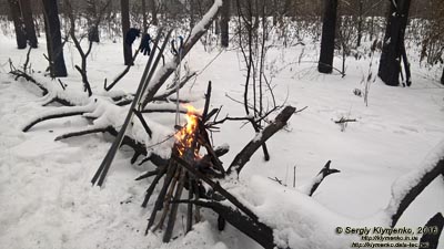 Фото Киева. Зимний лес, костёр, лыжи (январь 2016).