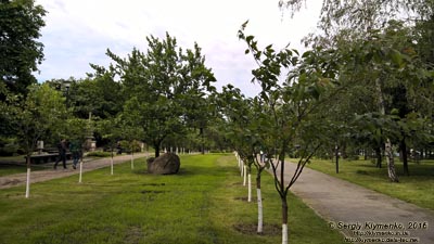 Фото Киева. В парке «Киото» (Деснянский район).