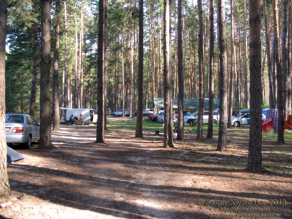 «Голубые озёра» (село Олешня, Черниговская область). Фото. Северное озеро (51°58'17"N, 31°09'40"E). Машины и палатки в сосновом лесу на берегу озера.