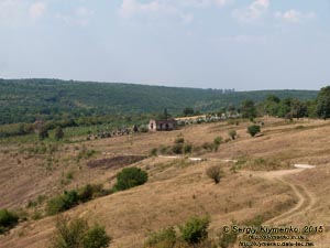 Тернопольская область, возле села Нырков. Фото. Руины мавзолея семьи Понинских (48°48'30.50"N, 25°35'49.50"E) с северо-востока (с дороги от села Нырков).