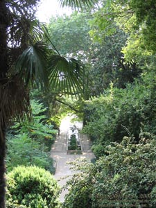 Крым. Никитский ботанический сад, вид на каскад бассейнов сверху.