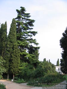 Крым. Никитский ботанический сад, один из уголков парка.