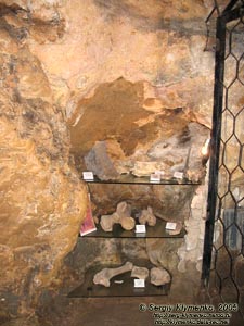 Пещера «Эмине-Баир-Хосар». В подземном музее.