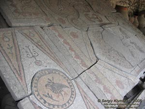 Крым. Херсонес, фрагмент мозаичного пола из «Базилики в базилике».
