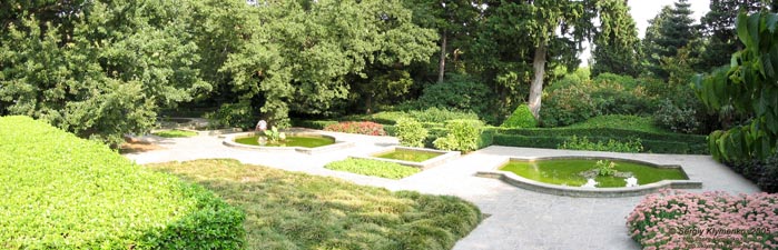 Крым. Никитский ботанический сад, один из уголков парка невдалеке от Главного входа.