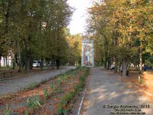 Тернопольская область, Гусятин. Фото. В сквере вдоль улицы Наливайко (49°04'20"N, 26°12'29"E).