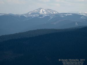 Фото Карпат. Вид на вершину горы Чивчин с полонины «Веснарка».