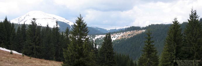 Фото Карпат, пейзаж с хребта между потоками Добрын и Альбин. Высота - около 1400 метров над уровнем моря