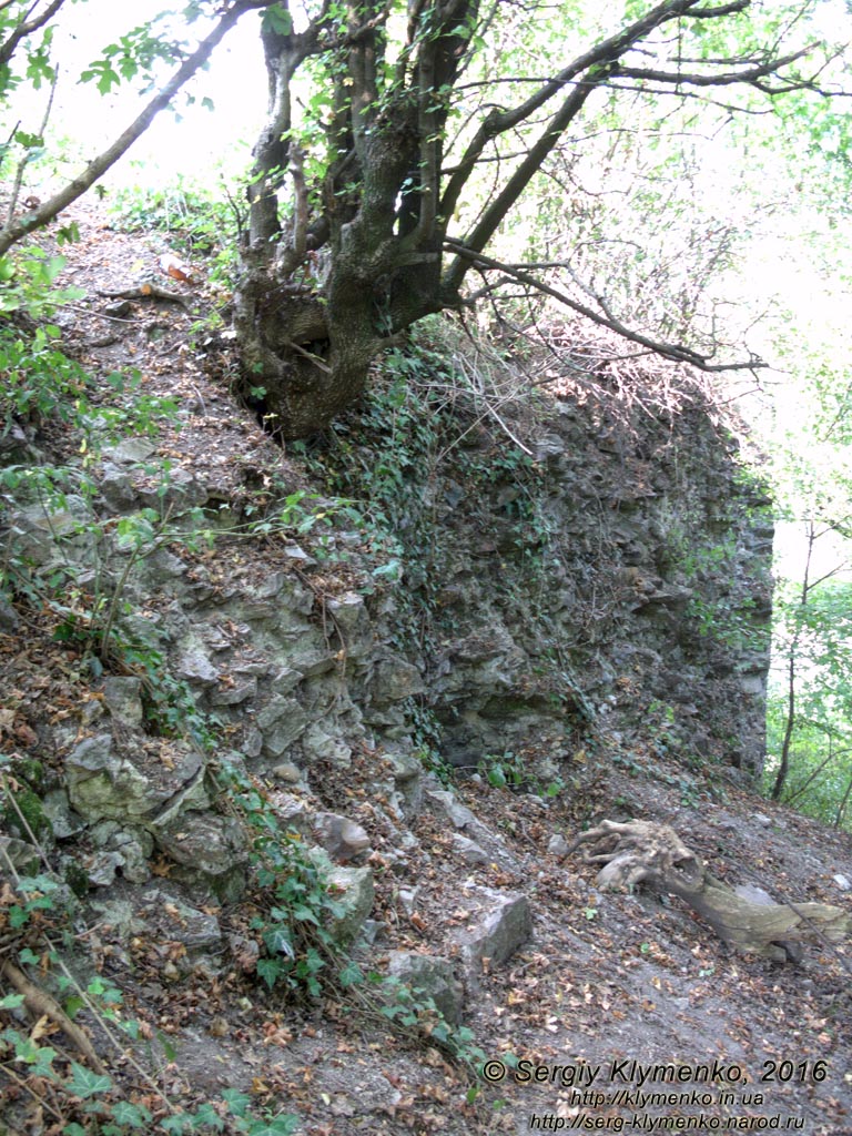 Закарпатская область, посёлок Королёво. Фото. Замок Нялаб (48°09'32"N, 23°07'54"E). Сохранившиеся фрагменты замковых укреплений.