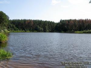 Коростышев (Житомирская область). Фото. Коростышевское озеро («Первое озеро»).