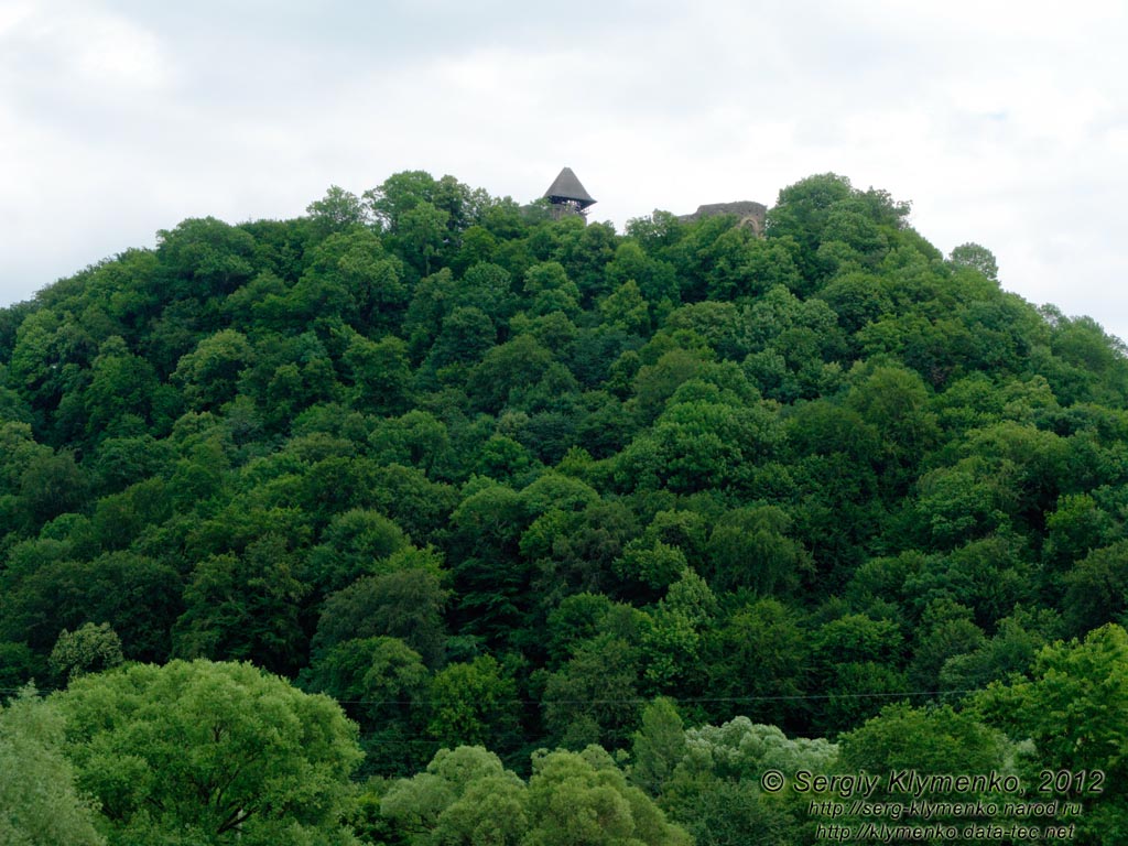 Закарпатская область, село Невицкое. Фото. Вид на гору и Невицкий замок от села Невицкое.