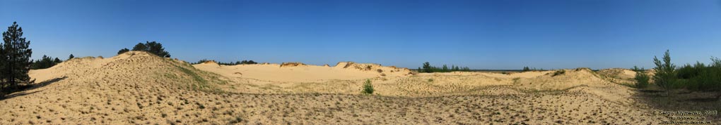 Херсонская область. Фото. Олешковские пески. Панорама ~210°.