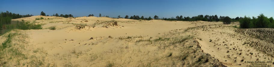 Херсонская область. Фото. Олешковские пески. Панорама ~150°.