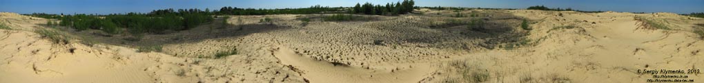 Херсонская область. Фото. Олешковские пески. Панорама ~360°.