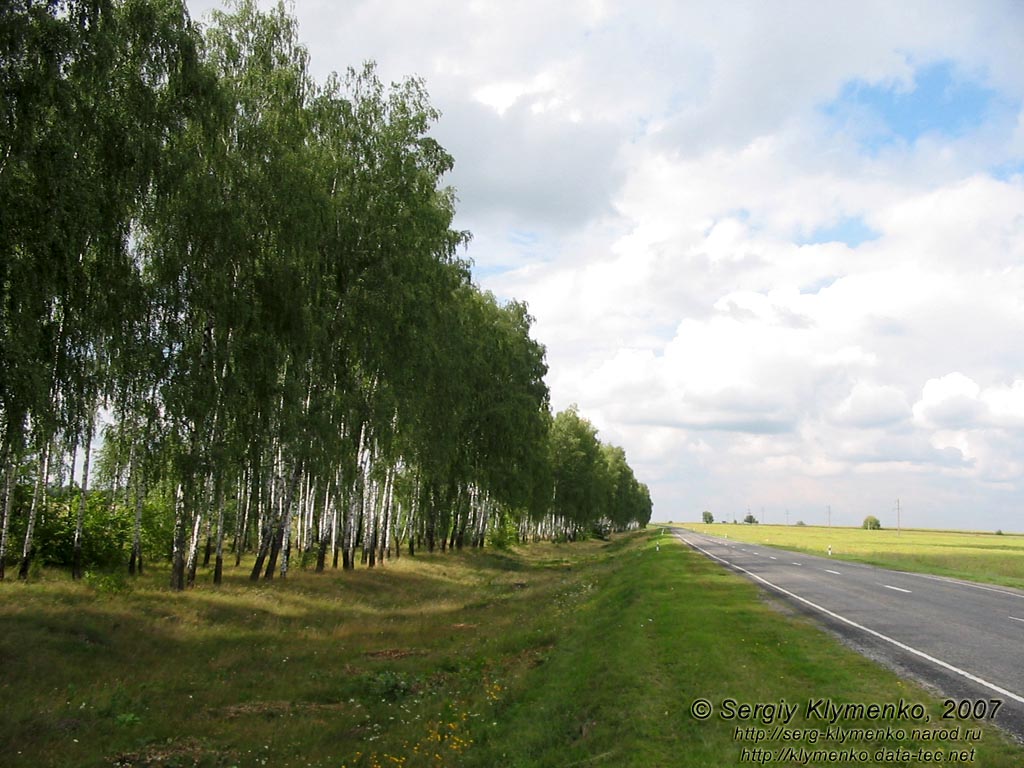 Сумская область. Фото. Пейзаж по дороге между Глуховим и Путивлем.