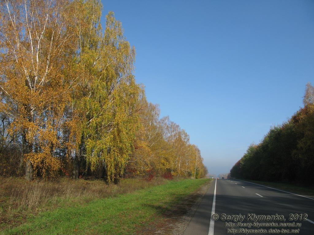 Черниговщина. Фото. Автодорога E101 (Киев-Кипти-Глухов-Бачевск-Москва) невдалеке от Батурина.