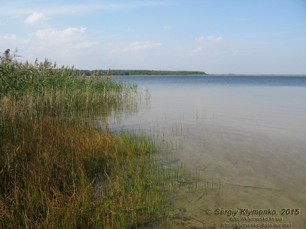 Волынь, Шацкие озёра. Фото. Живописный вид озера Свитязь (51°29'01.20"N, 23°47'58.40"E).