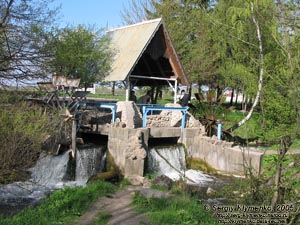 Тернополь. Фото. Парк "Топильче". Сказочная водяная мельница.