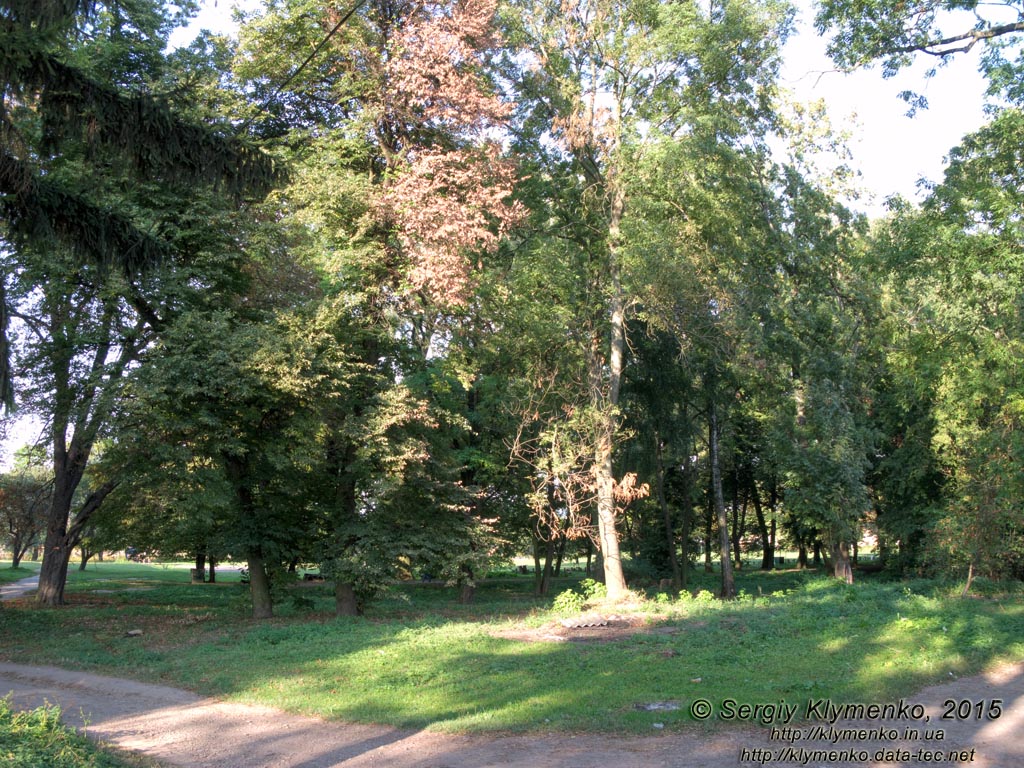 Львовщина. Село Тартаков. Фото. Дворцово-парковый комплекс. Аллеи в парке.