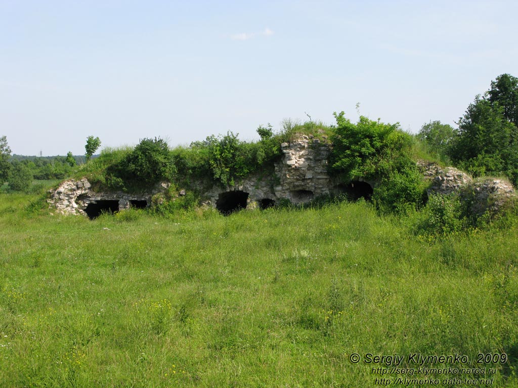 Тернопольская область. Зализцы. Фото. Руины Залозецкого замка.