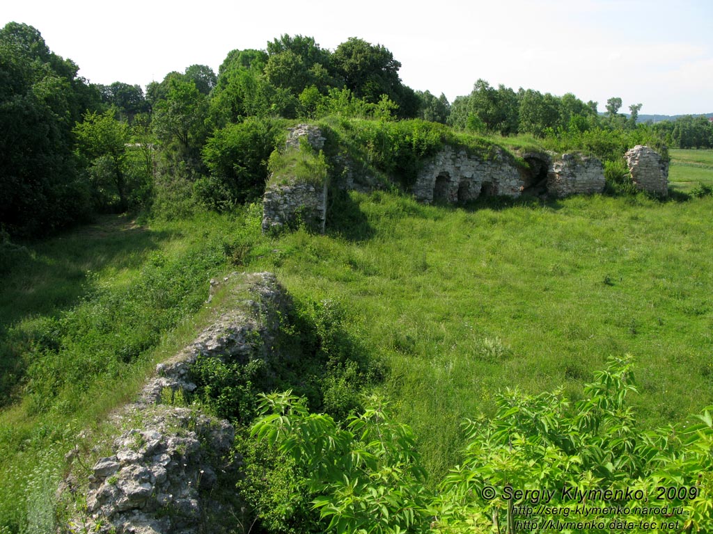 Тернопольская область. Зализцы. Фото. Руины Залозецкого замка.