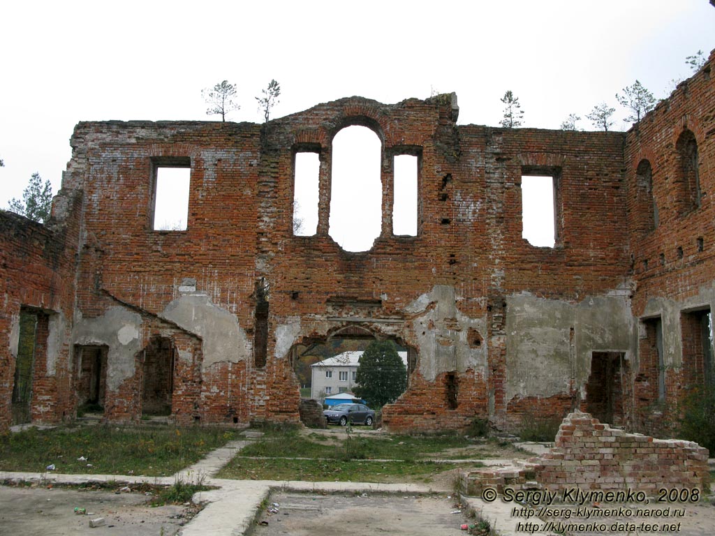 Житомирщина. Дениши. Фото. Руины дворца Терещенко. Вид изнутри дворца.