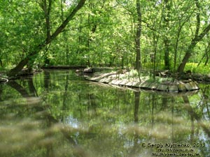 Херсонская область. Аскания-Нова. Фото. В зоопарке. Животворная вода - пруды и каналы.