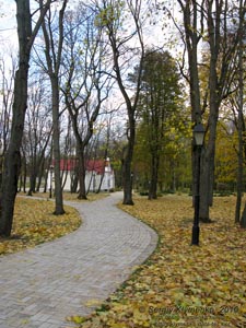 Батурин. Фото. Парк-памятник садово-паркового искусства местного значения «Кочубеевский».