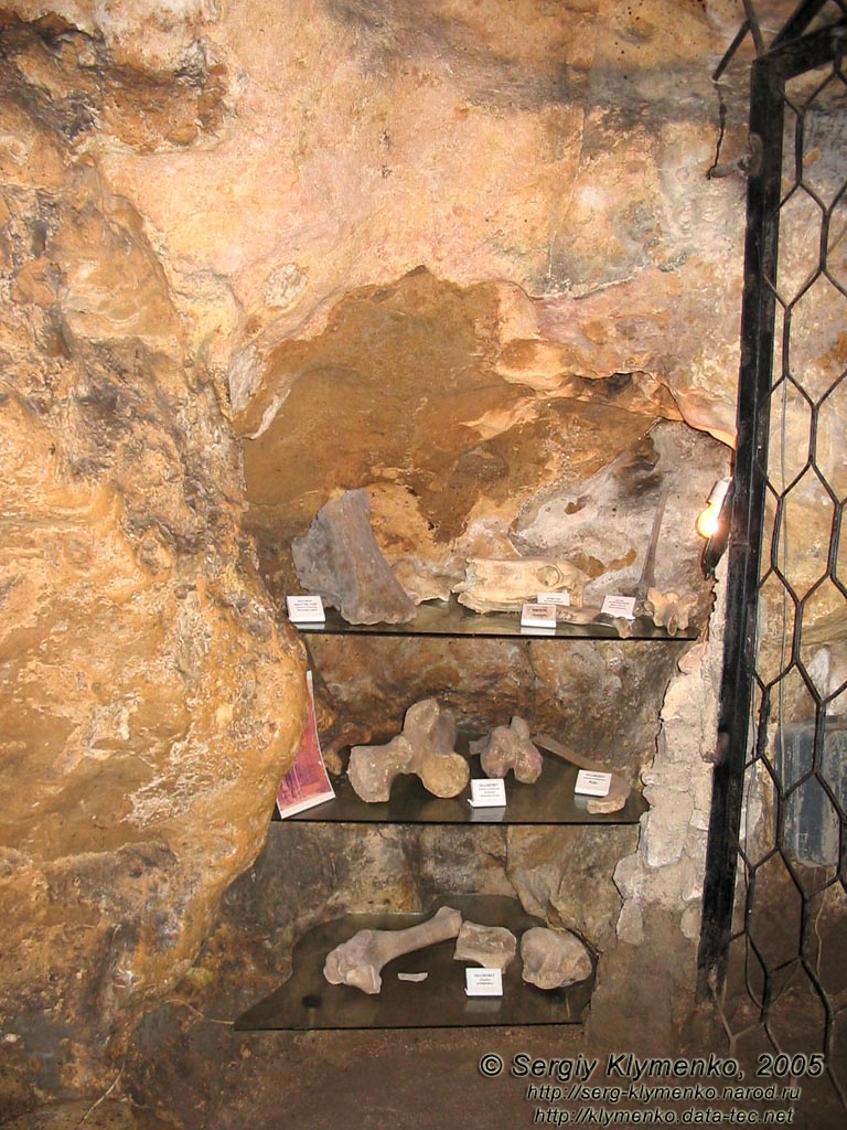 Крым. Пещера «Эмине-Баир-Хосар». В подземном музее.