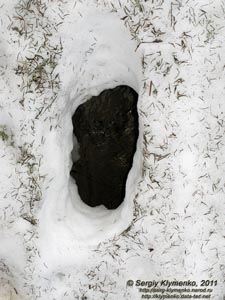 Фото Карпат. От озера Маричейка к горе Поп Иван Черногорский (Черная Гора). Ручеёк под снегом.