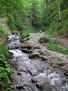 Карпаты. Закарпатская область. Фото. Речка Пилипец ниже водопада Шипот.