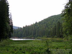 Закарпатская область. Вокруг озера Синевир. Фото.