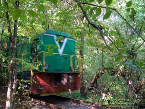 Ровенщина. Клевань. Фото. «Туннель любви». Маневровый тепловоз ТГМ-23, который тянет поезд в туннеле.