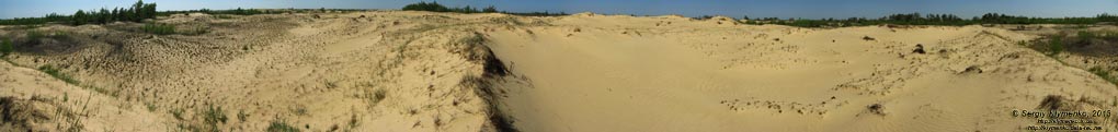 Херсонская область. Фото. Олешковские пески. Панорама ~360°.
