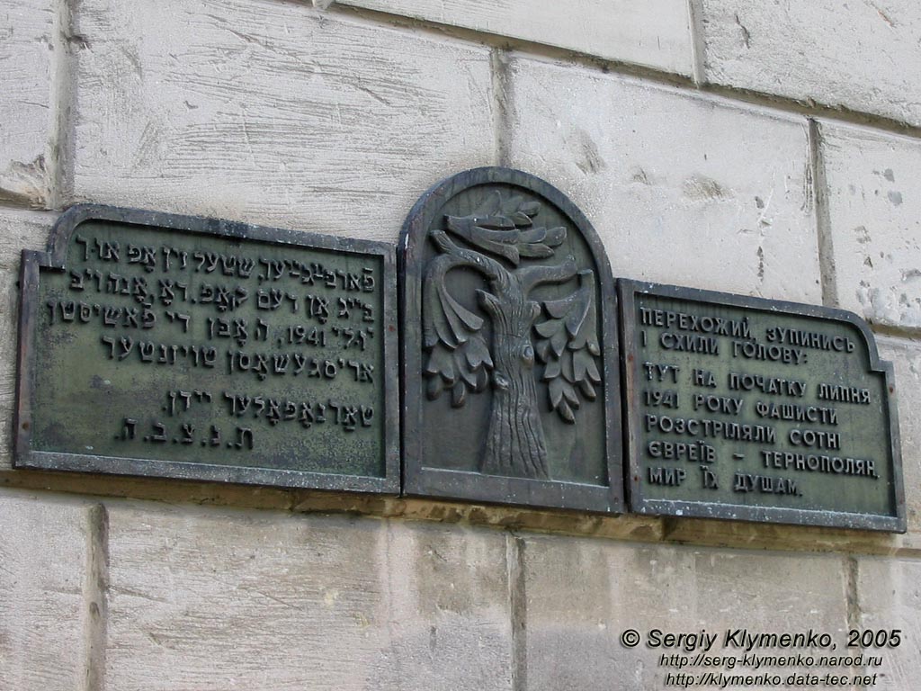 Тернополь. Памятная доска на здании Тернопольского государственного медицинского университета.