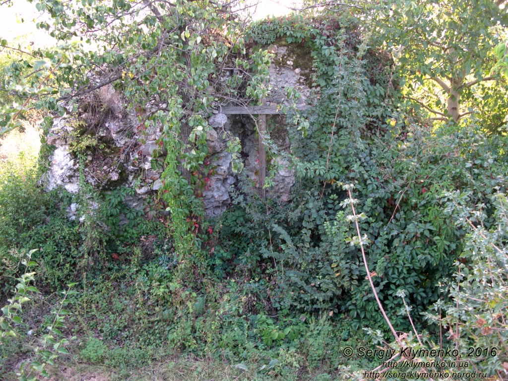 Закарпатская область. Квасово. Фото. Руины Квасовского замка (48°11'14"N, 22°46'33"E). На замковом дворе.